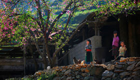 Capture the majestic beauty of Ha Giang’s cultural landmarks